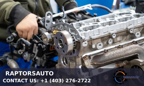 The Importance of Professional Expertise